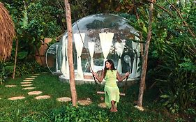 Bubble Siargao